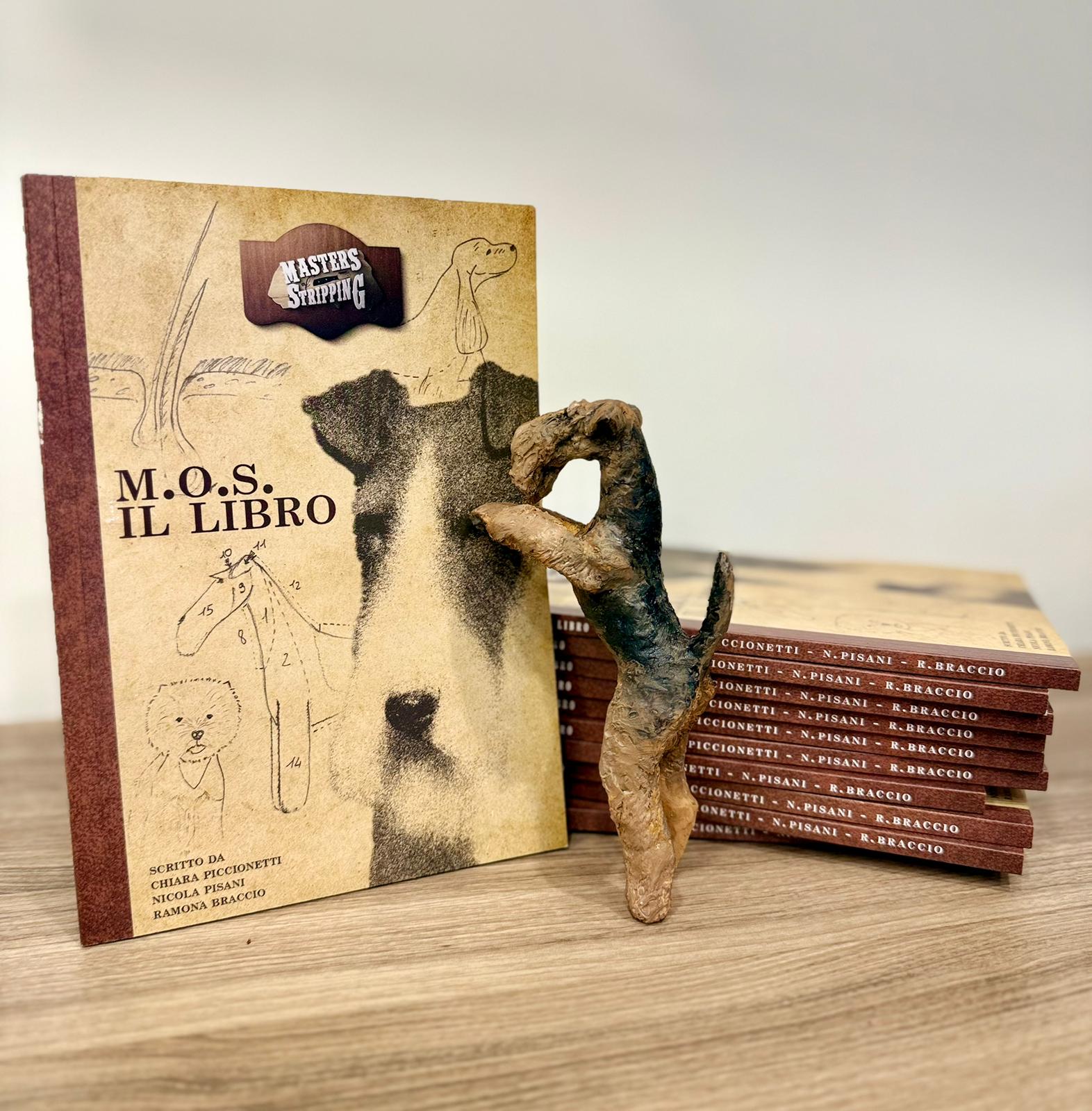 Masters of Stripping - il libro